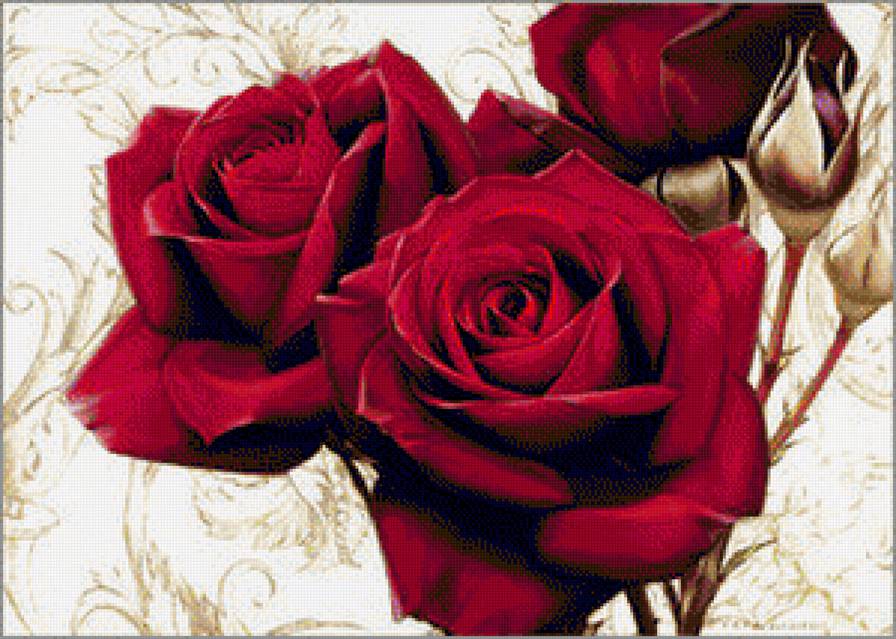 бархатная роза - цветы, букет, розы - предпросмотр