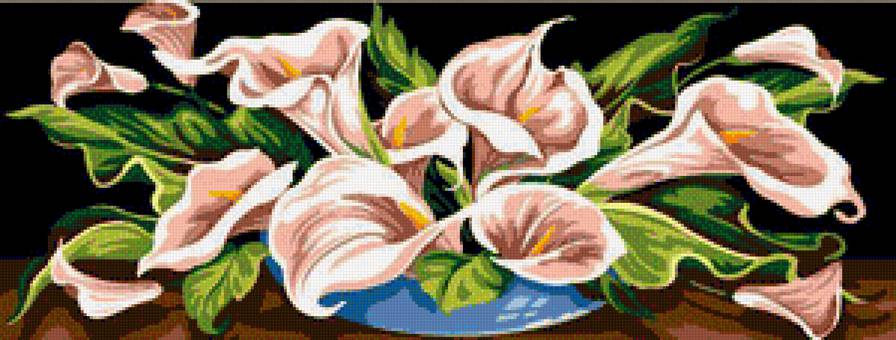 каллы - каллы, цветы - предпросмотр