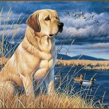 Схема вышивки «собака»