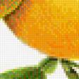 Предпросмотр схемы вышивки «Грейпфрут» (№1168606)