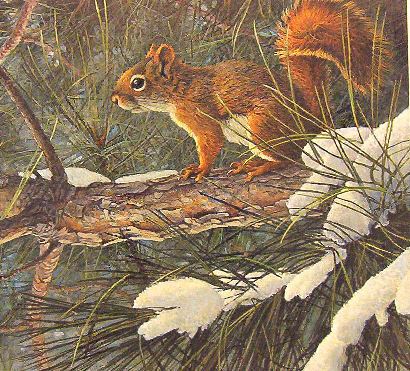 118 - оригинал