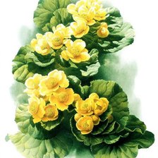 Схема вышивки «№1169066»