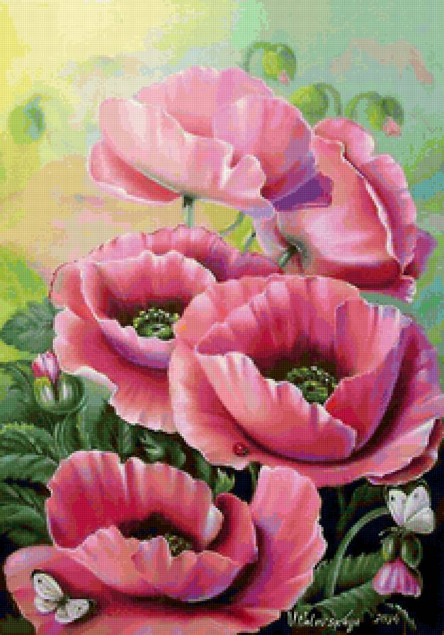 №1169074 - предпросмотр