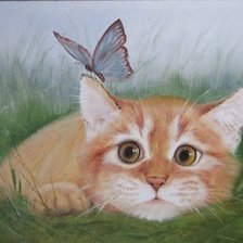 Котенок с бабочкой