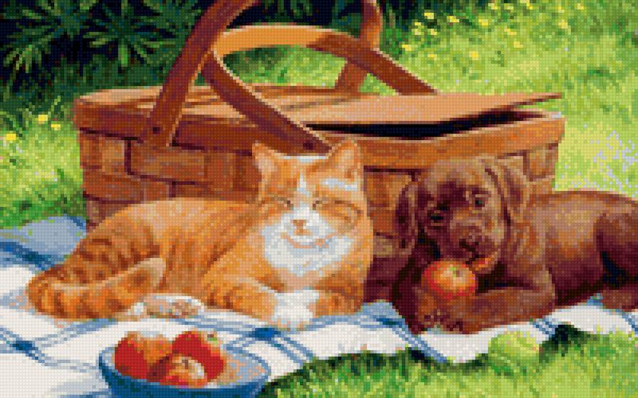 На пикнике - кошки и собаки - предпросмотр