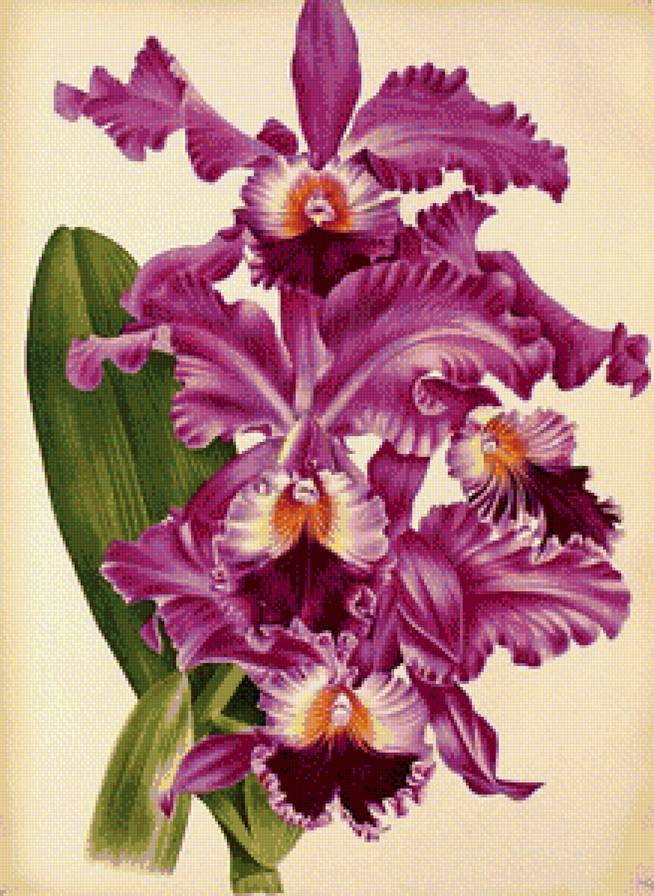 цветы - предпросмотр