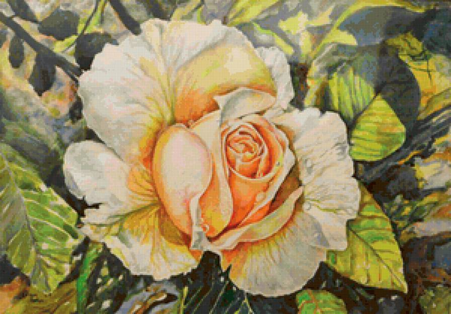 №1169325 - предпросмотр