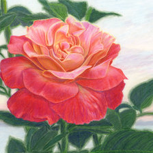 Схема вышивки «№1169354»