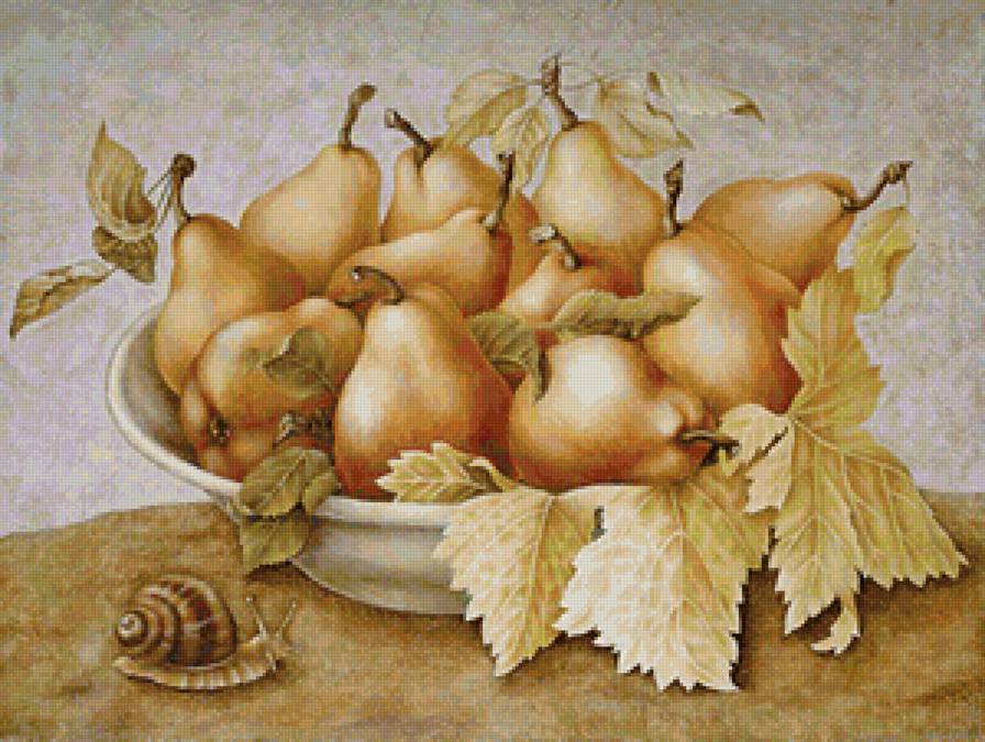 Натюрморт - фрукты, груши, улитка, натюрморт - предпросмотр