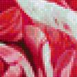 Предпросмотр схемы вышивки «Прекрасные розочки» (№1169945)
