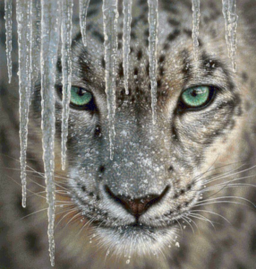 Глаза цвета лета - снег, взгляд хищника, зеленые глаза, сосульки, глаза, зима, кошки - предпросмотр