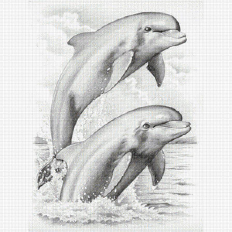 №1170516 - предпросмотр