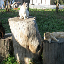 Схема вышивки «Три товарища»