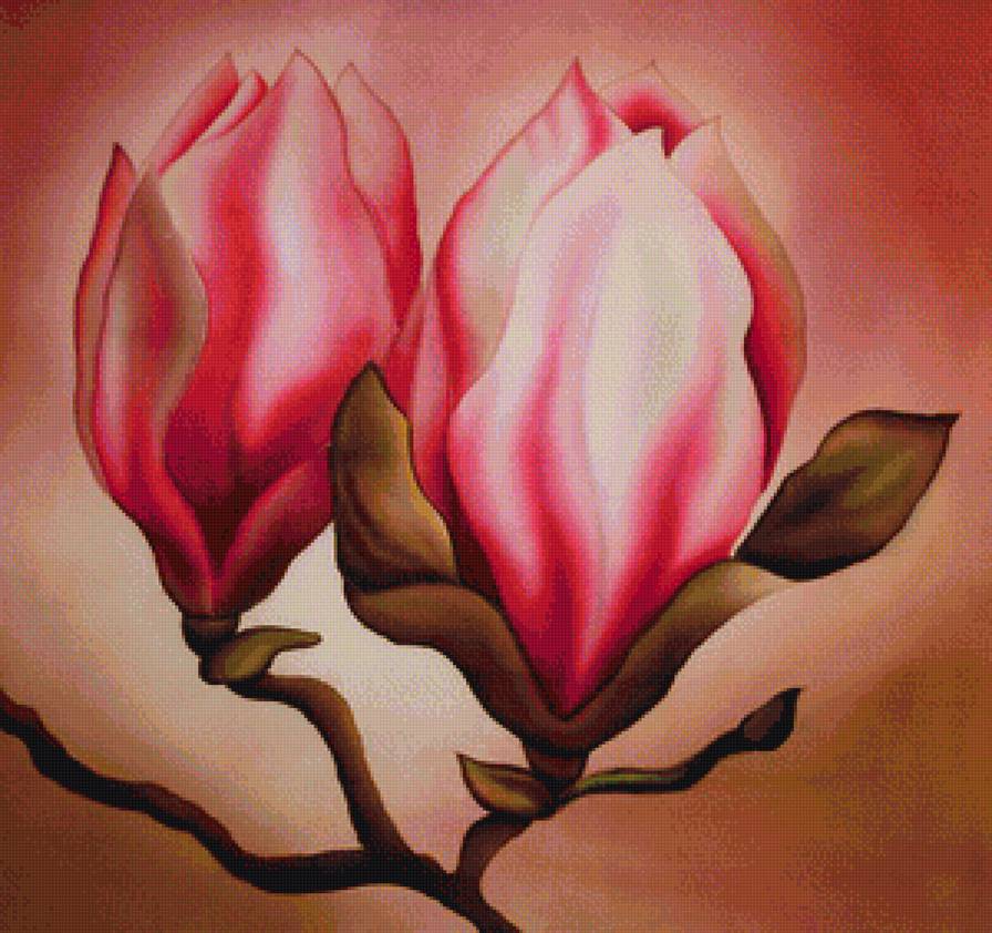 Магнолия - магнолия, цветы - предпросмотр