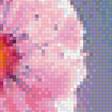 Предпросмотр схемы вышивки «цветок» (№1171341)