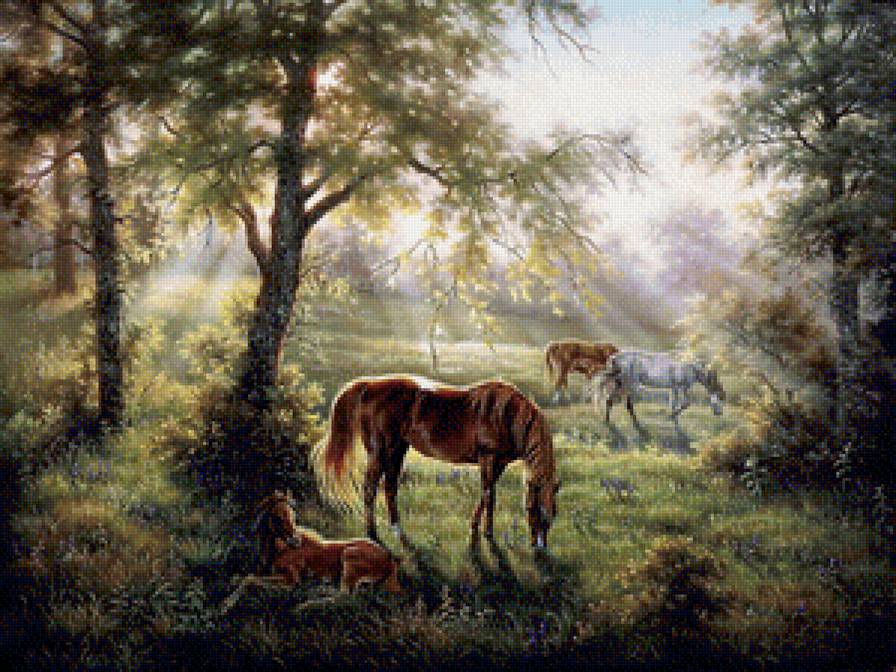 лошади - животные, лошади, пейзаж, природа - предпросмотр