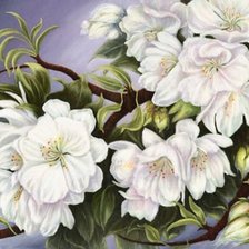 Оригинал схемы вышивки «№1171570»