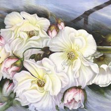 Схема вышивки «№1171571»