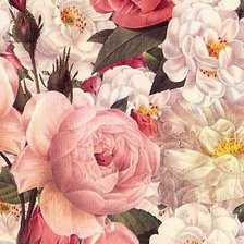 Схема вышивки «№1171573»