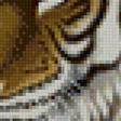 Предпросмотр схемы вышивки «тигр (китайская живопись)» (№1171844)