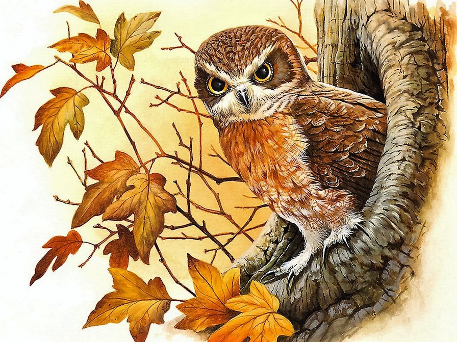 совушка - лес, природа, осень, птицы - оригинал