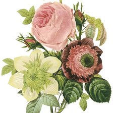 Схема вышивки «№1172187»