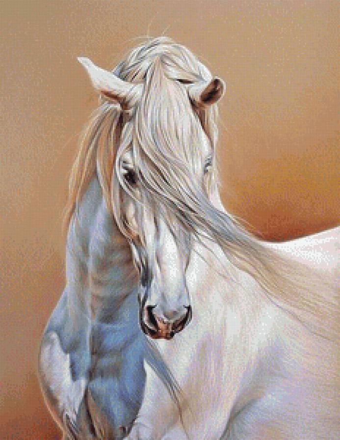 Белая лошадка - лошади, кони, животные, белая лошадь - предпросмотр