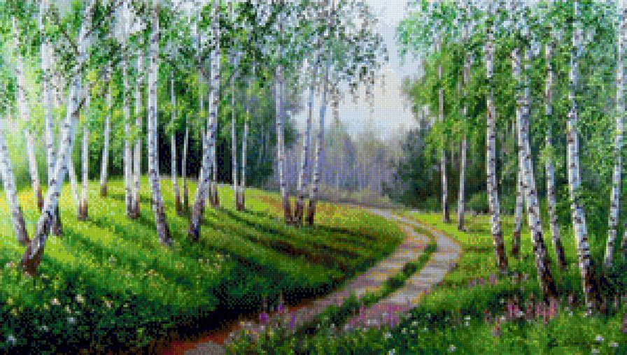 Берёзы - природа, пейзаж - предпросмотр