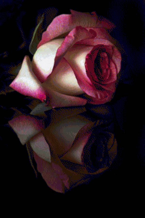 №1173865 - предпросмотр