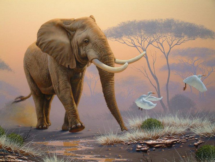 №1174024 - животные - оригинал