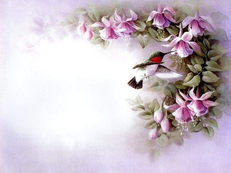 Колибри - птицы, цветы - оригинал