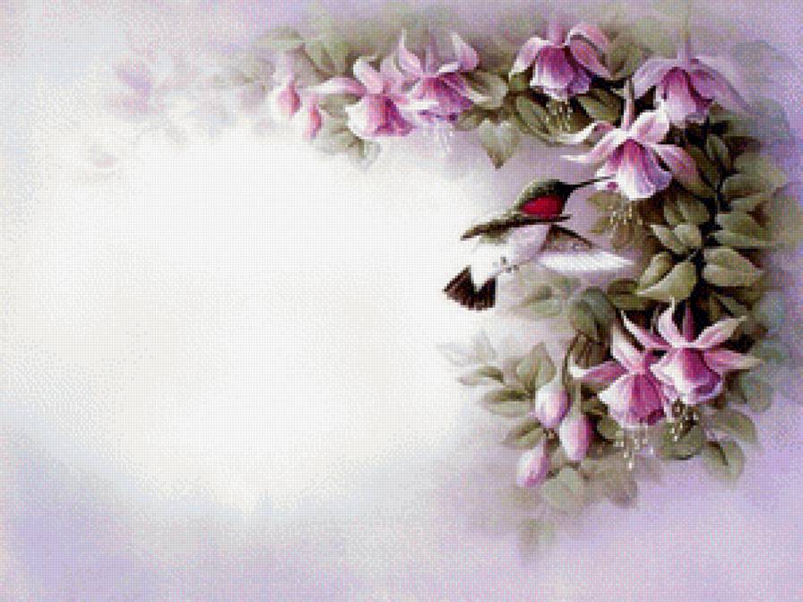 Колибри - цветы, птицы - предпросмотр