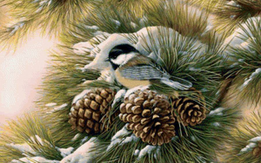 Притаилась - зима, синицы, птицы - предпросмотр