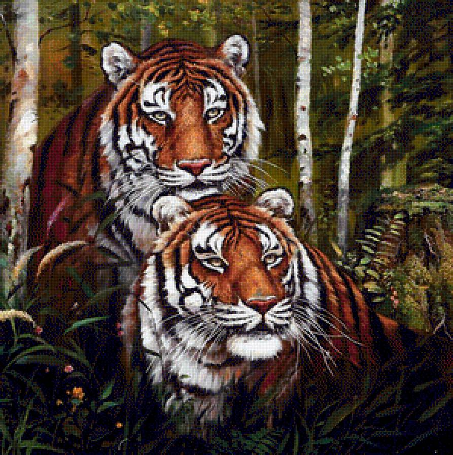 тигры - тигры, животные - предпросмотр