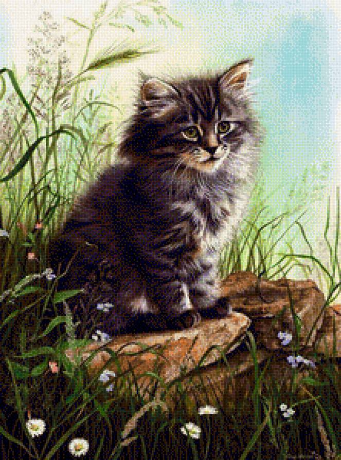 котик - животные, кошки - предпросмотр