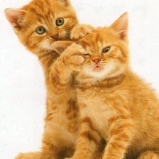 Схема вышивки «два котенка»