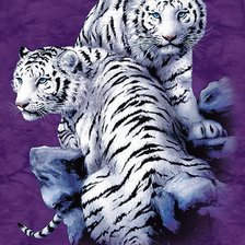 Оригинал схемы вышивки «белые тигры» (№1174522)