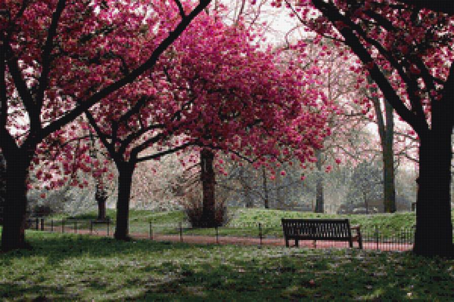 цветущая вищня - предпросмотр