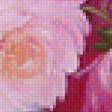 Предпросмотр схемы вышивки «Розы» (№1174651)