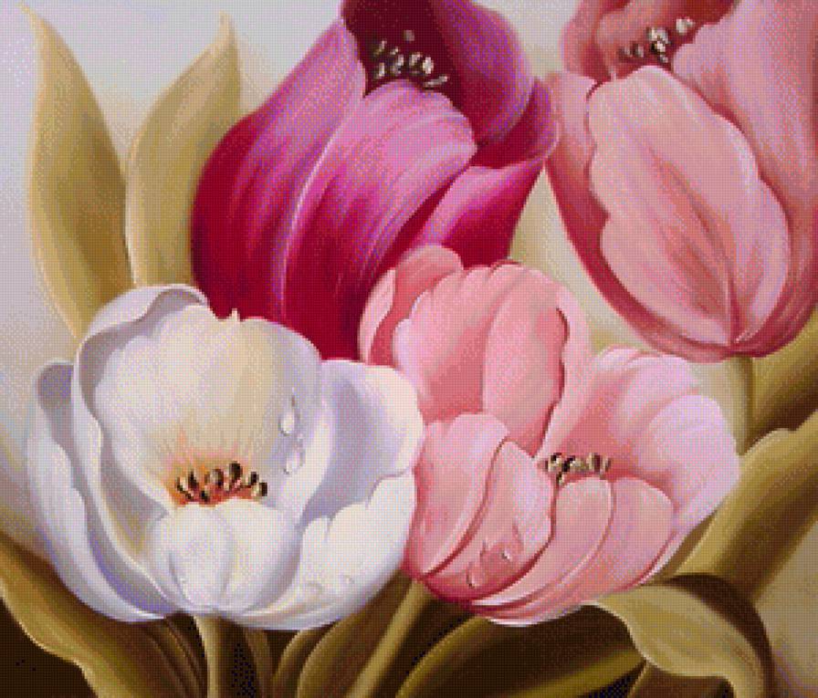 Тюльпаны - букет, тюльпаны, цветы, цветок, тюльпан - предпросмотр