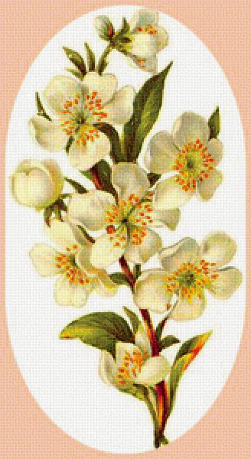 Веточка цветущая - вышивка крестом - предпросмотр