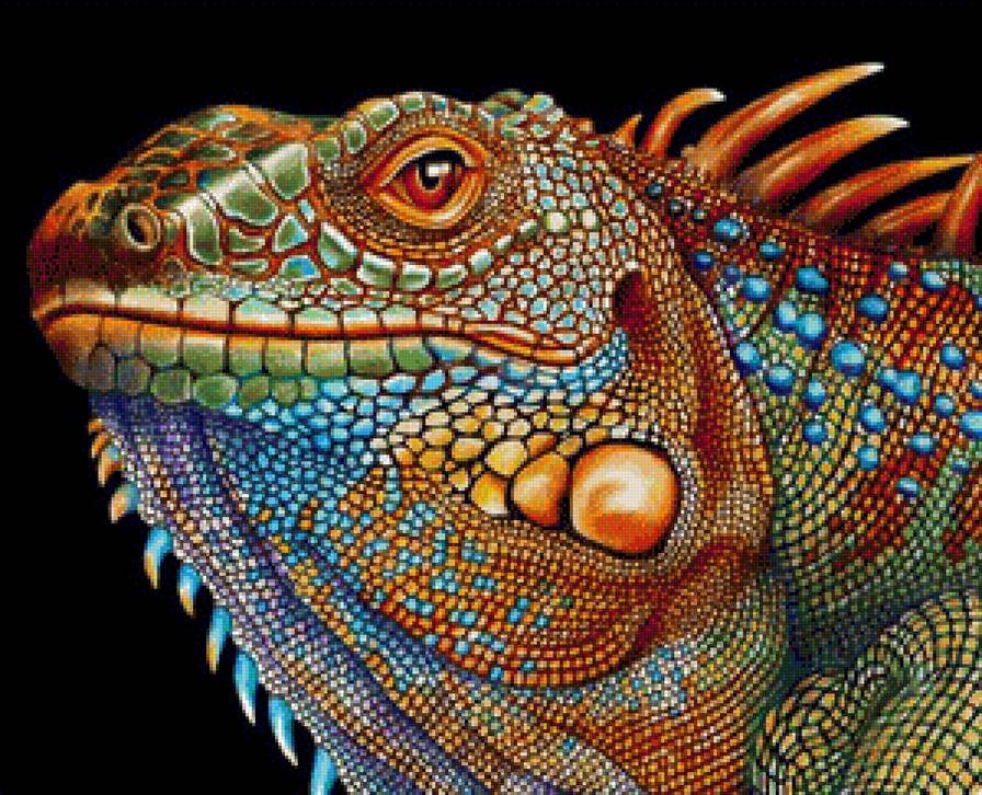 Игуана. - игуана, ящерица - предпросмотр