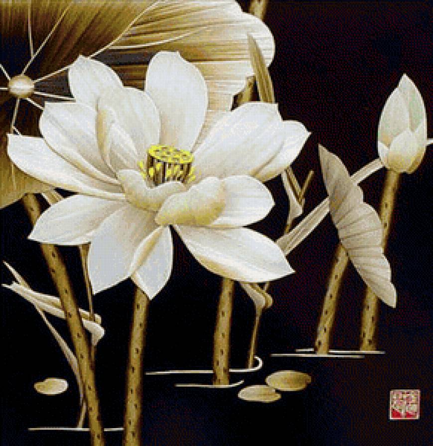 Белый лотос - лотос, цветы, восток, азия - предпросмотр