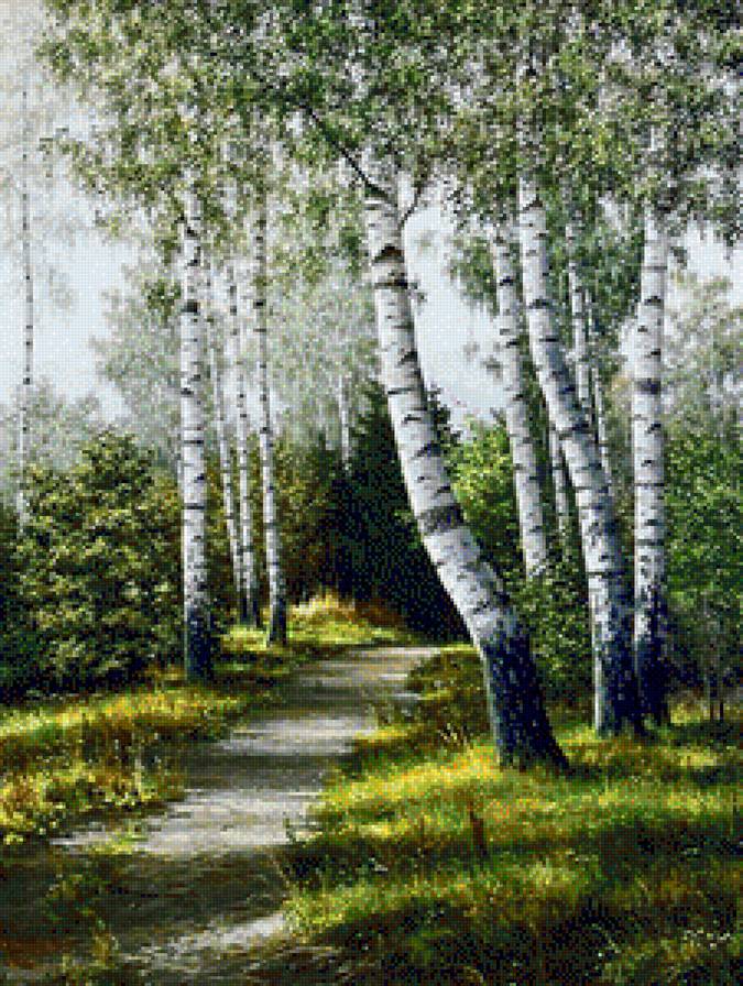 Берёзы - природа, пейзаж - предпросмотр