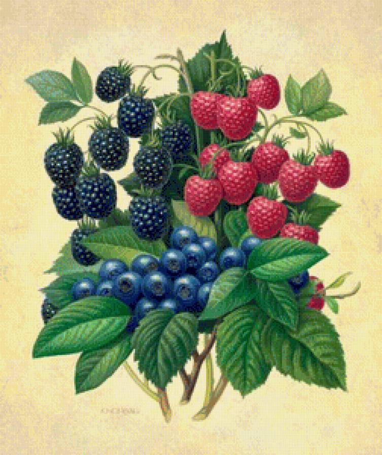 №1175822 - предпросмотр