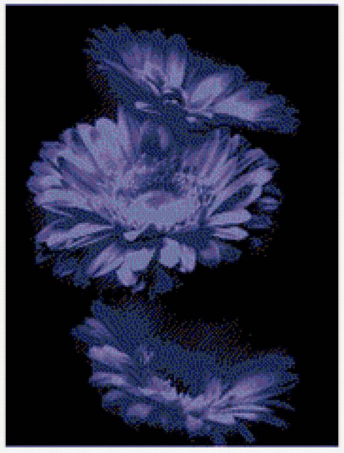 синие цветы - цветы - предпросмотр