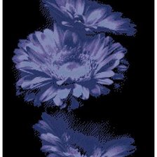 Оригинал схемы вышивки «синие цветы» (№1175878)