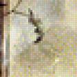 Предпросмотр схемы вышивки «кошка у разбитого окна» (№1176344)