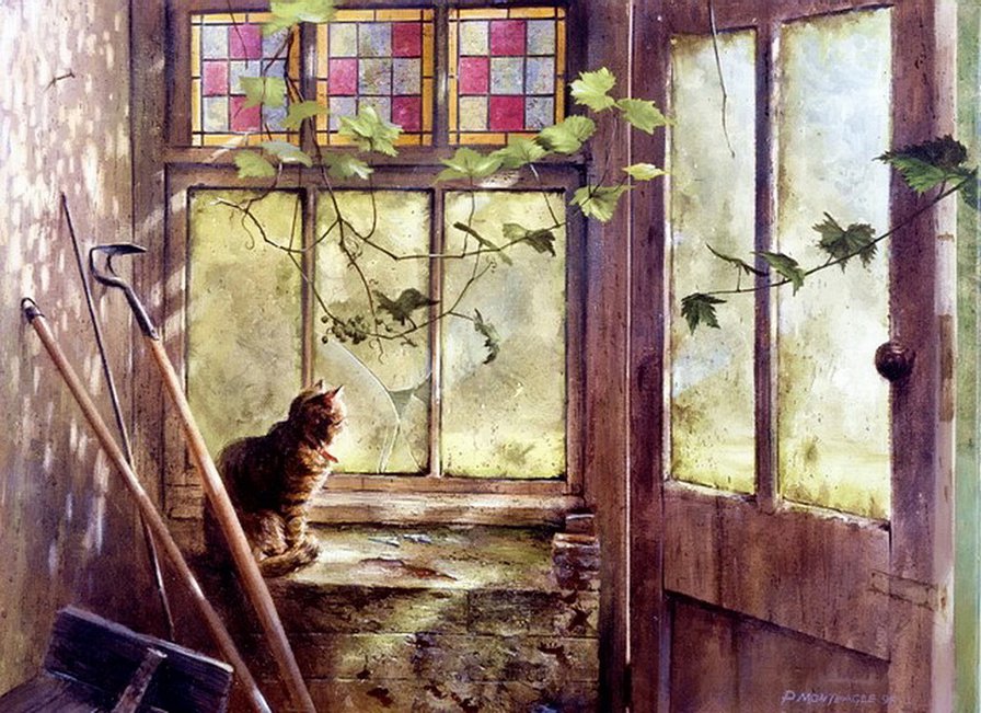 кошка у разбитого окна - к - оригинал