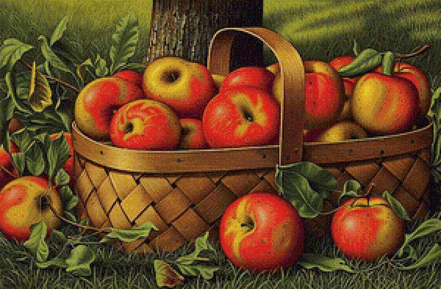 Корзина яблок - плоды, яблоки, фрукты - предпросмотр